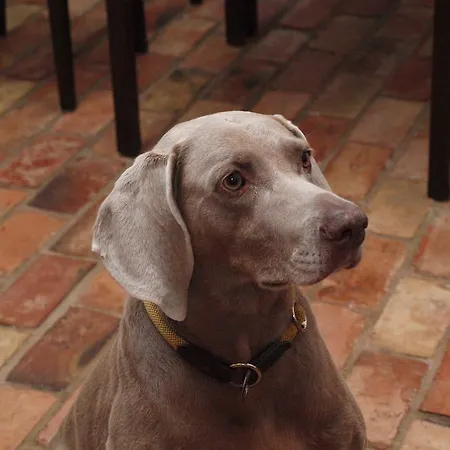 Gutshof Warthe Appartement Warthe (Mecklenburg-Vorpommern)