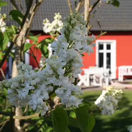 Appartement Gutshof Warthe Warthe (Mecklenburg-Vorpommern)