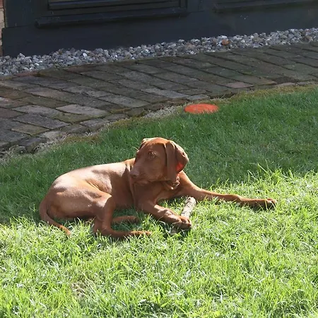 Appartement Gutshof Warthe Warthe (Mecklenburg-Vorpommern)